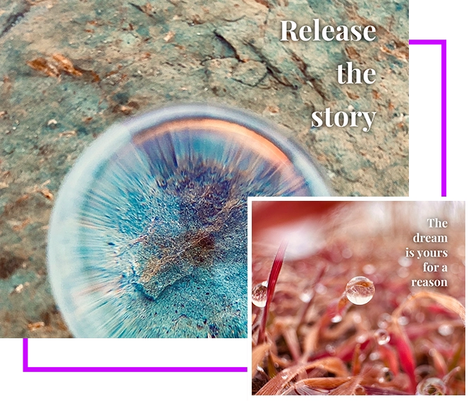 5 A close up of a jellyfish and the words " release the story ".