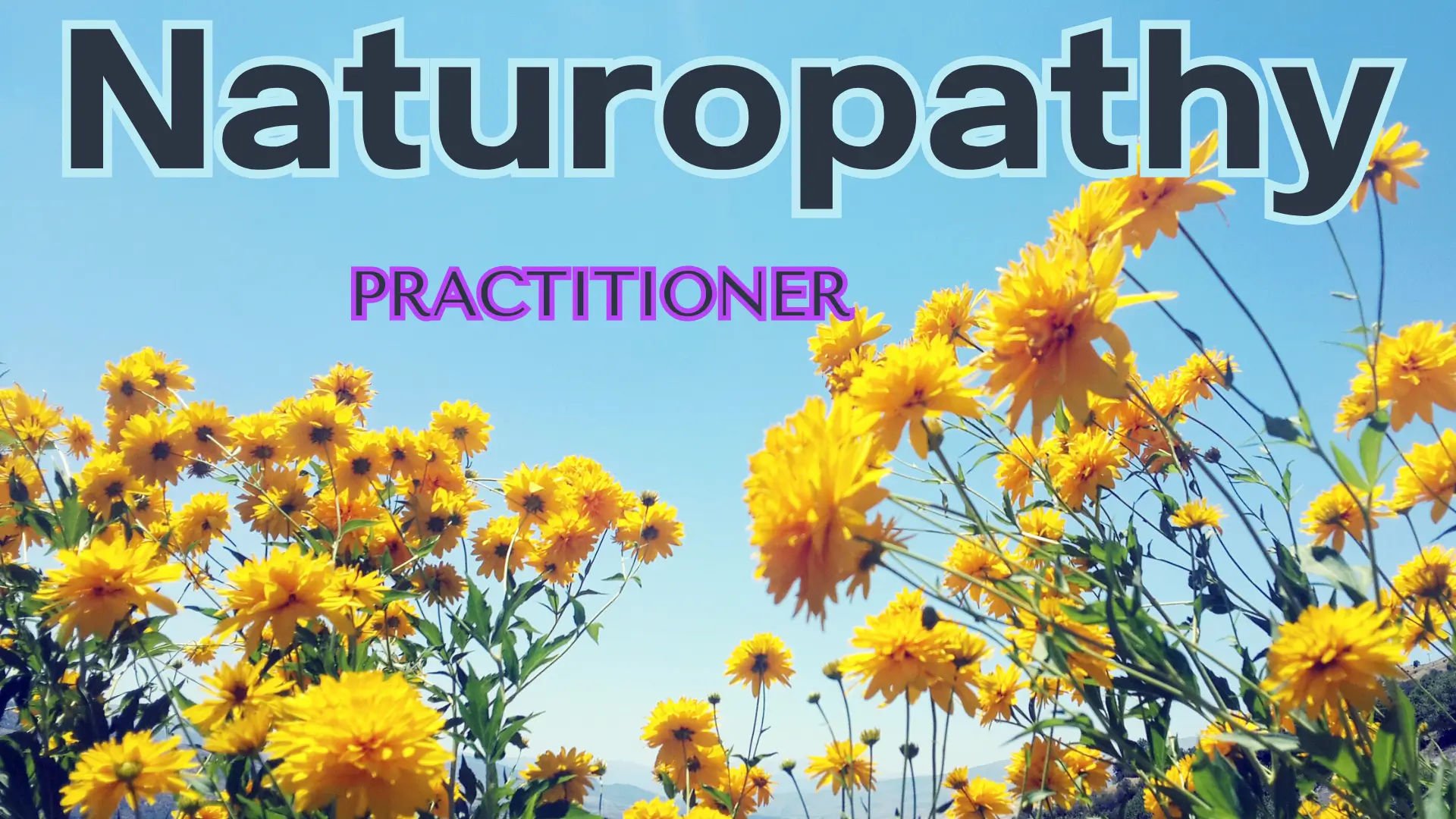 A field of yellow flowers with the word naturopath written in front.
