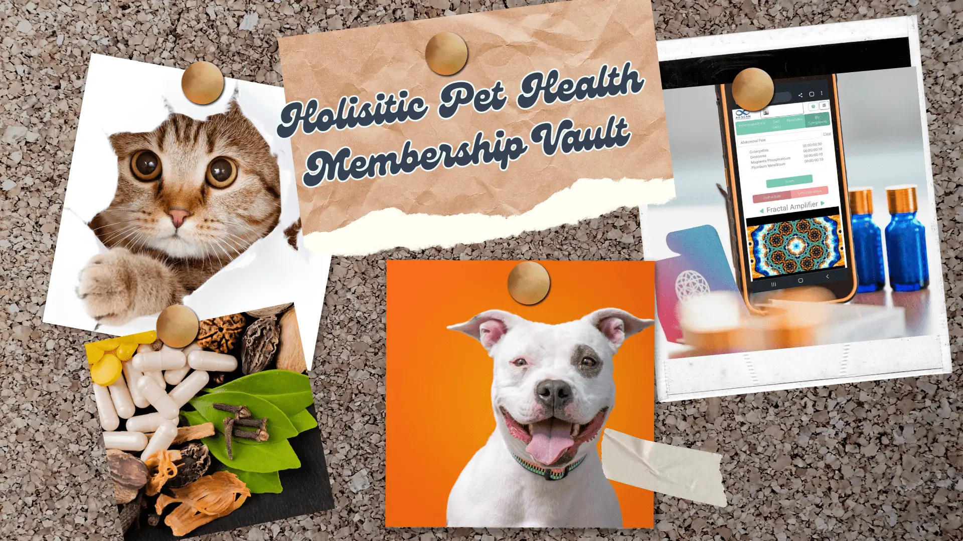 669ac3ef64e8d_Holisitic-Pet-Health-Membership-Vault A collage of photos with the words holistic pet health membership vault.
